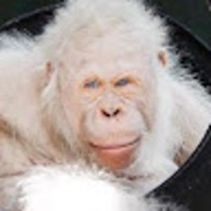 Meet your Posher, Christa